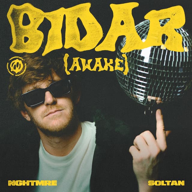 Bidar (Awake) cover