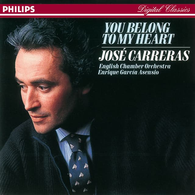 You Belong To My Heart cover