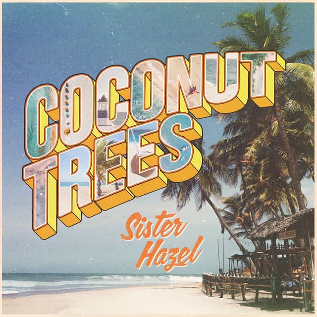 Coconut Trees album cover
