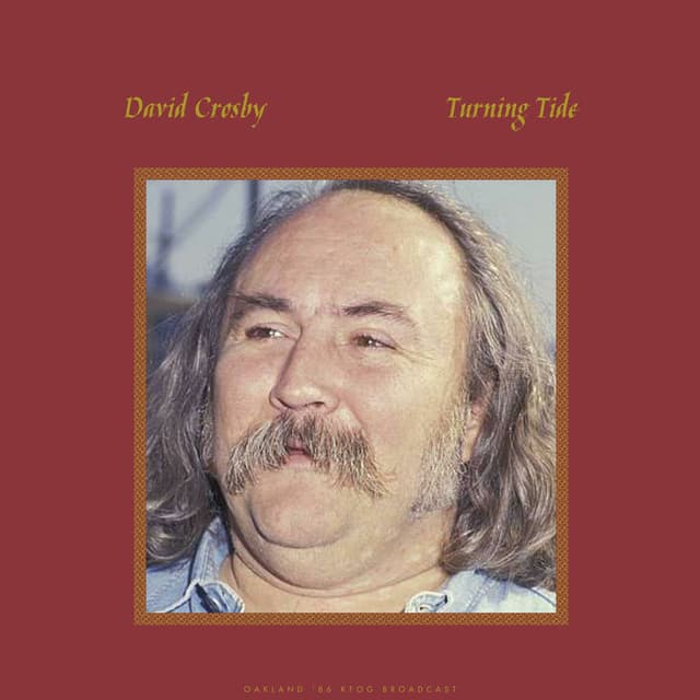 Turning Tide (Live) cover