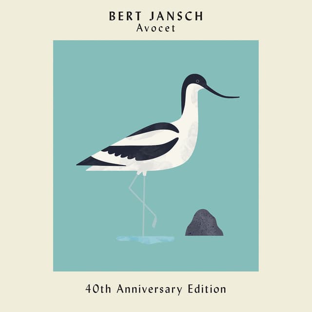 Avocet (40th Anniversary Edition) cover