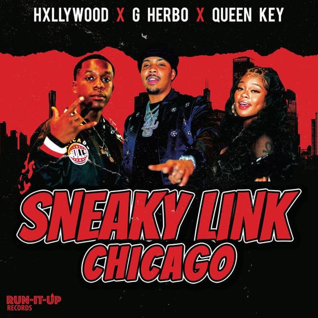 Sneaky Link Chicago cover