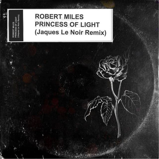 Princess Of Light (Jaques Le Noir Remix) cover