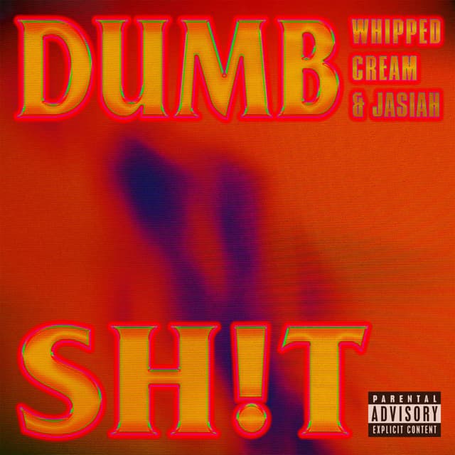 DUMB SH!T cover
