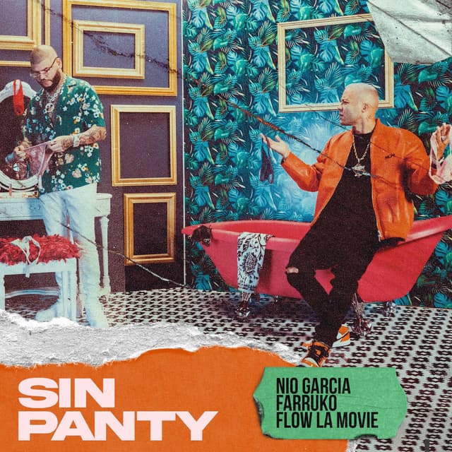 Sin panty cover