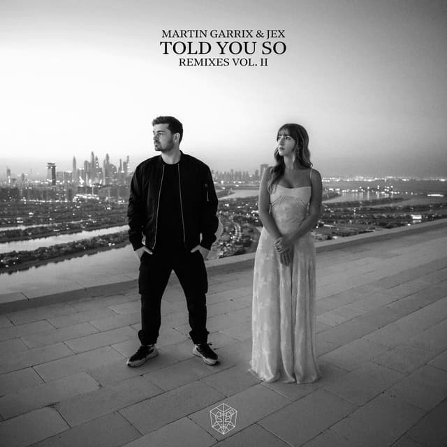 Told You So (Remixes Vol. 2) cover