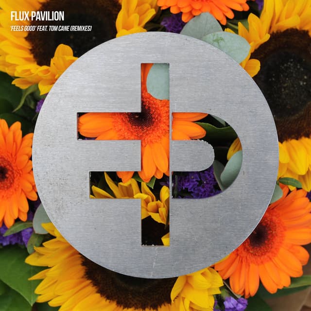 Feels Good (Remixes) cover