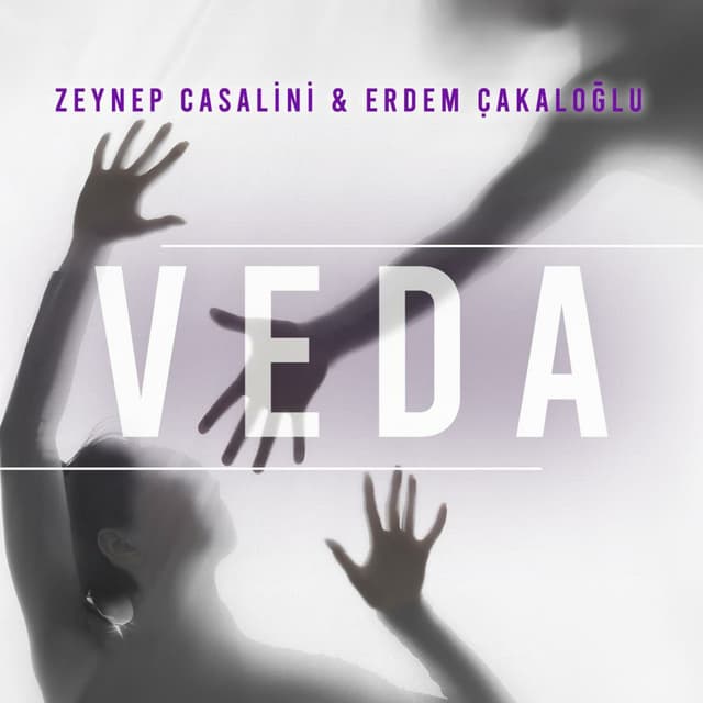Veda cover