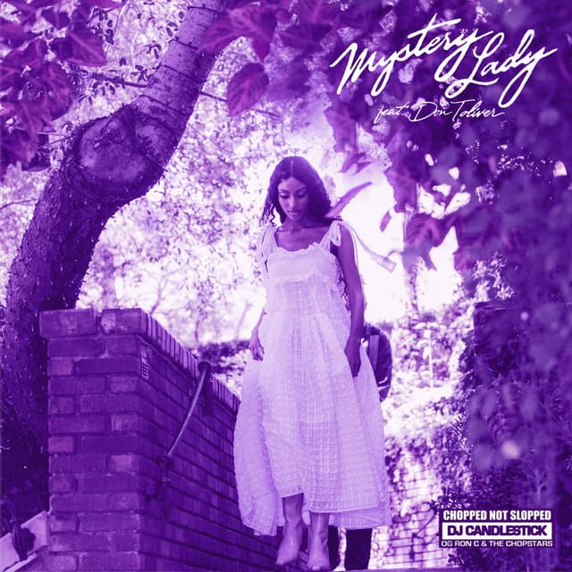 Mystery Lady (ChopNotSlop Remix) cover