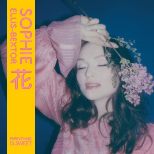Everything is Sweet cover