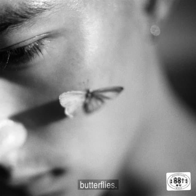 Butterflies cover