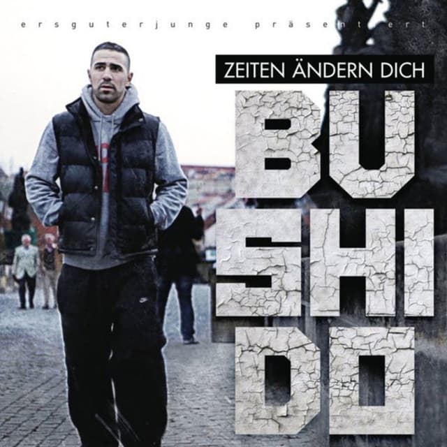 Zeiten ändern dich cover