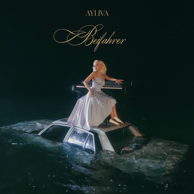 Beifahrer cover