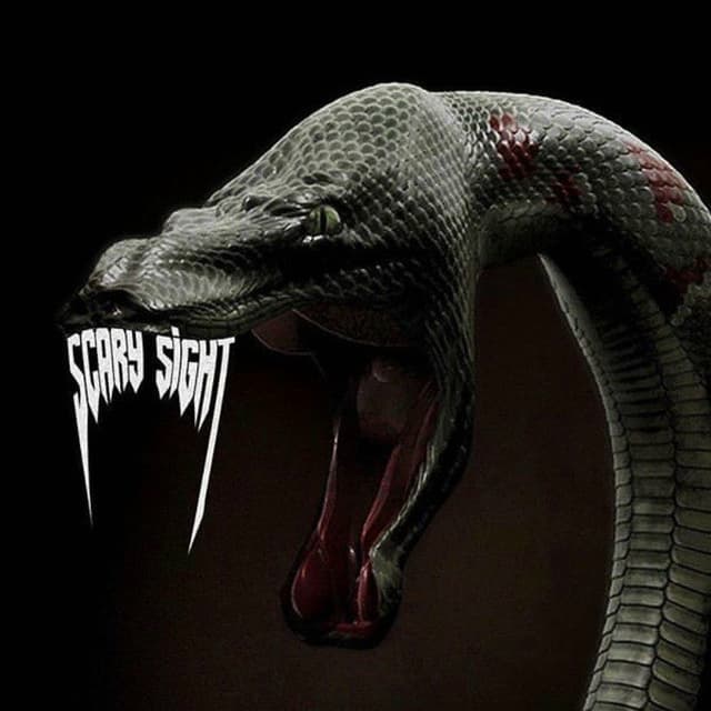 Scary Sight cover