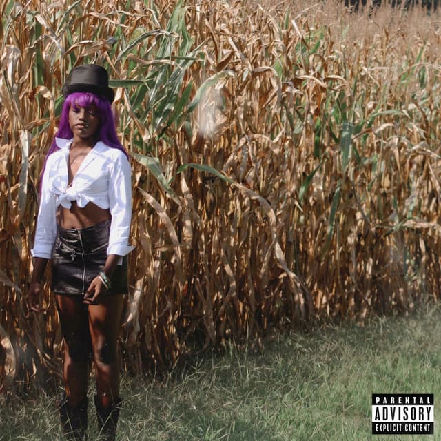 New Sheriff In Town cover