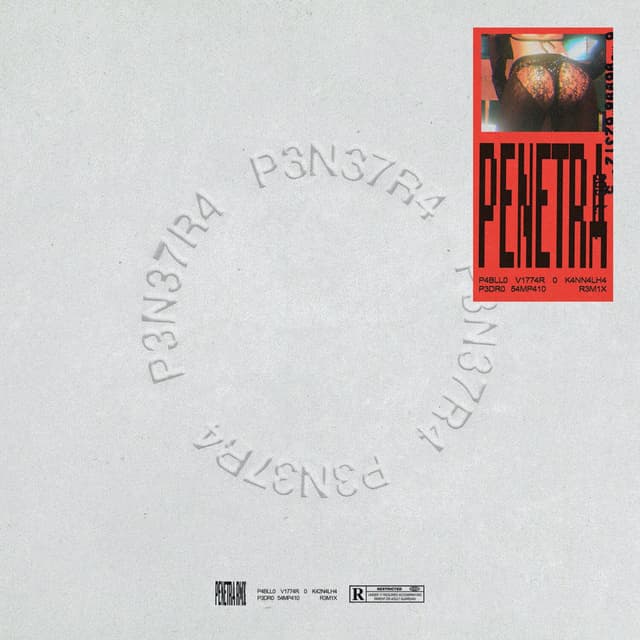 Penetra (Pedro Sampaio Remix) cover