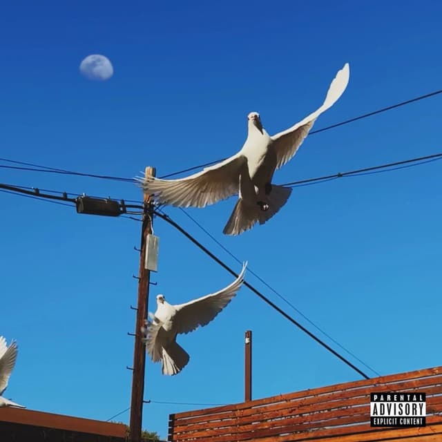your name forever cover