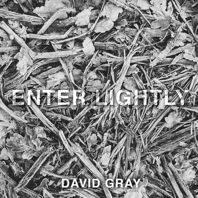 Enter Lightly album cover