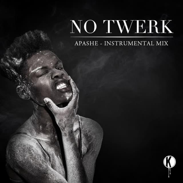 No Twerk Instrumental cover
