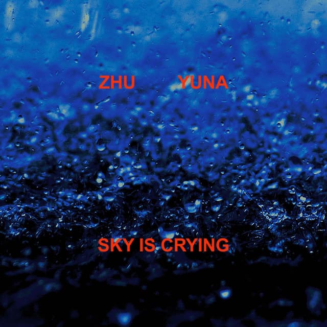 Sky Is Crying cover