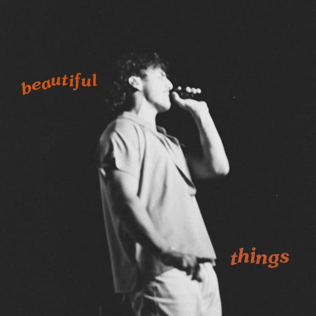 Beautiful Things album cover