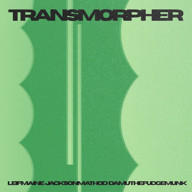 Transmorpher cover