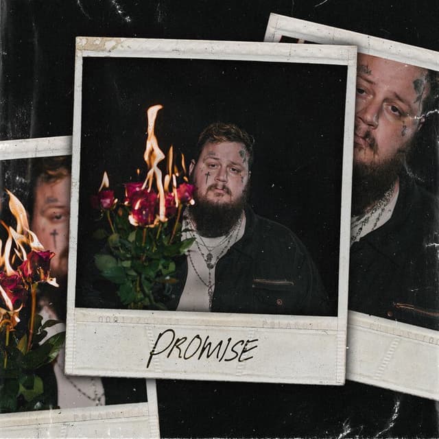 Promise cover