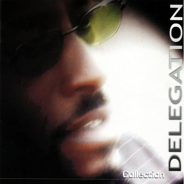 Delegation - Collection cover
