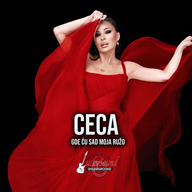 Gde cu sad, moja ruzo cover