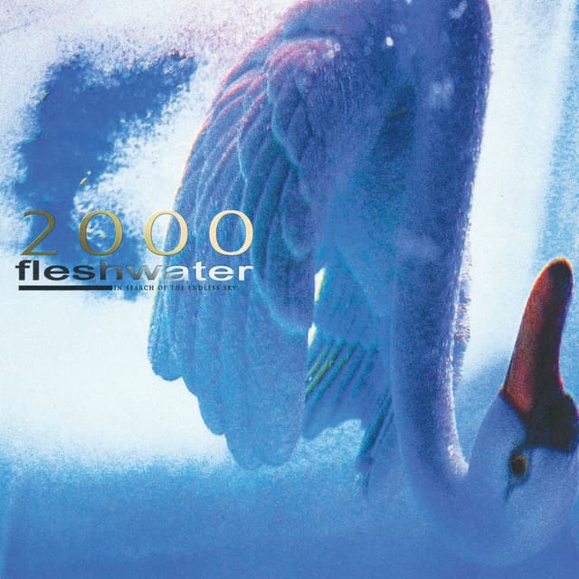2000: In Search of the Endless Sky cover