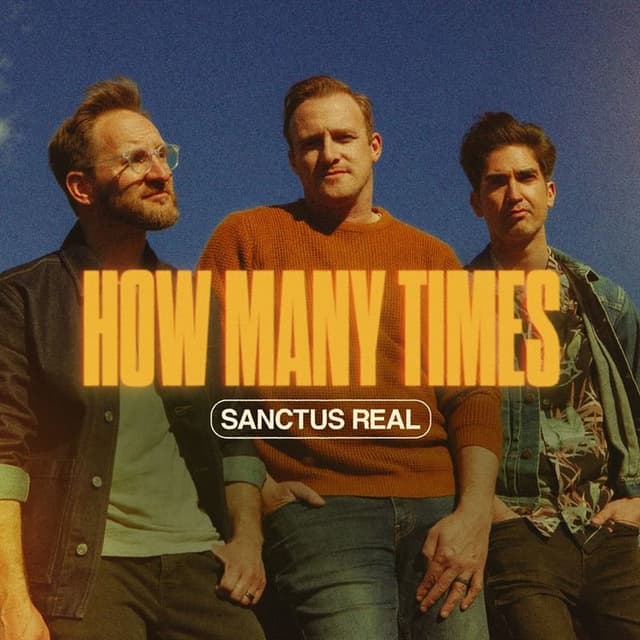 How Many Times cover