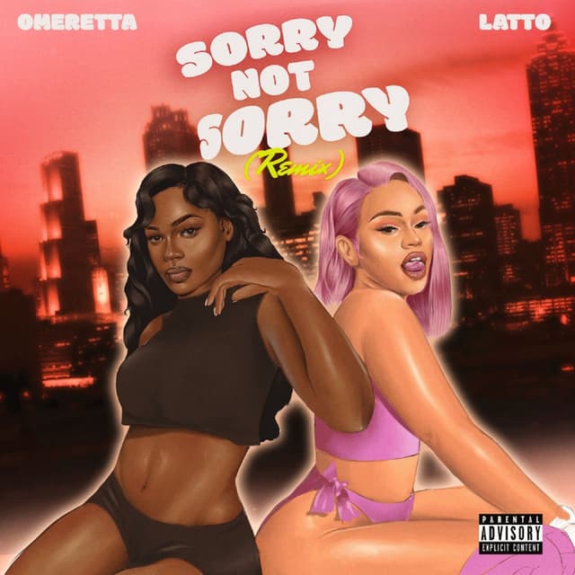 Sorry Not Sorry (Remix) cover