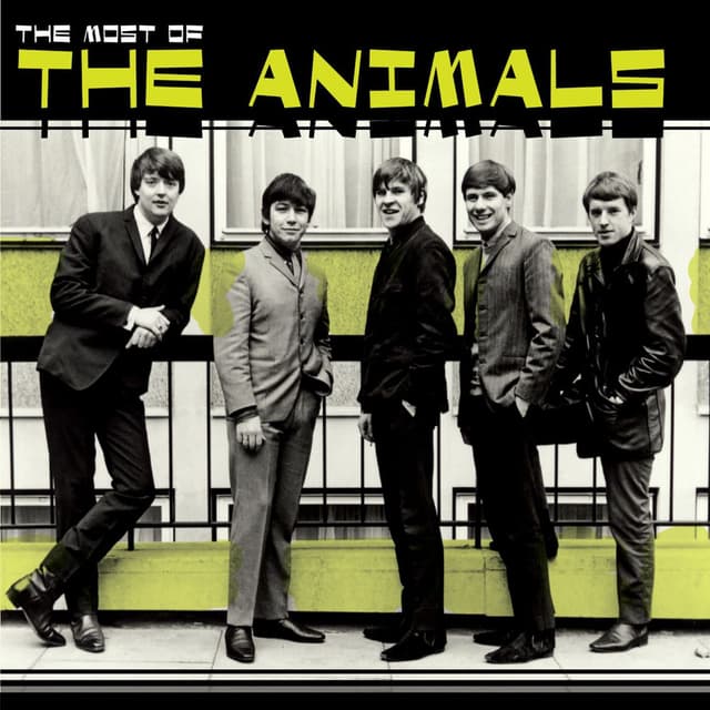 Most of the Animals cover