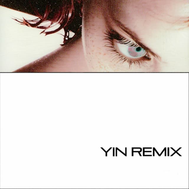 YIN REMIX cover