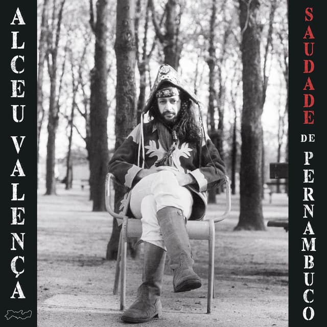Saudade de Pernambuco cover