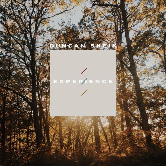 Experience cover