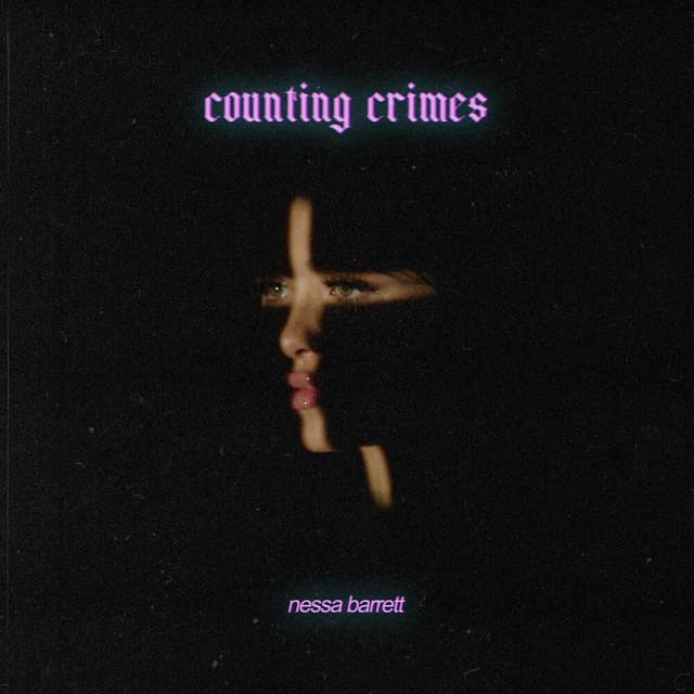 counting crimes cover