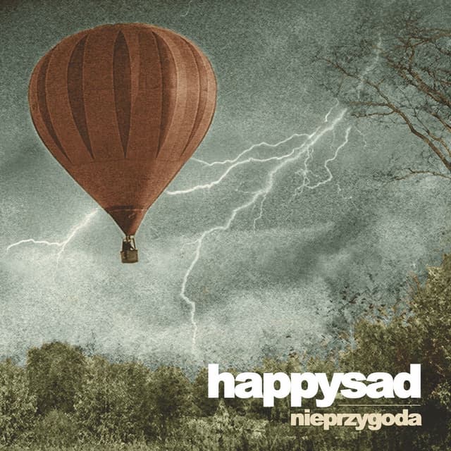 Nieprzygoda cover