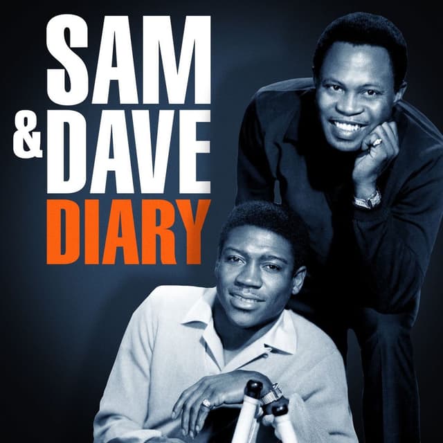 Sam & Dave Diary cover