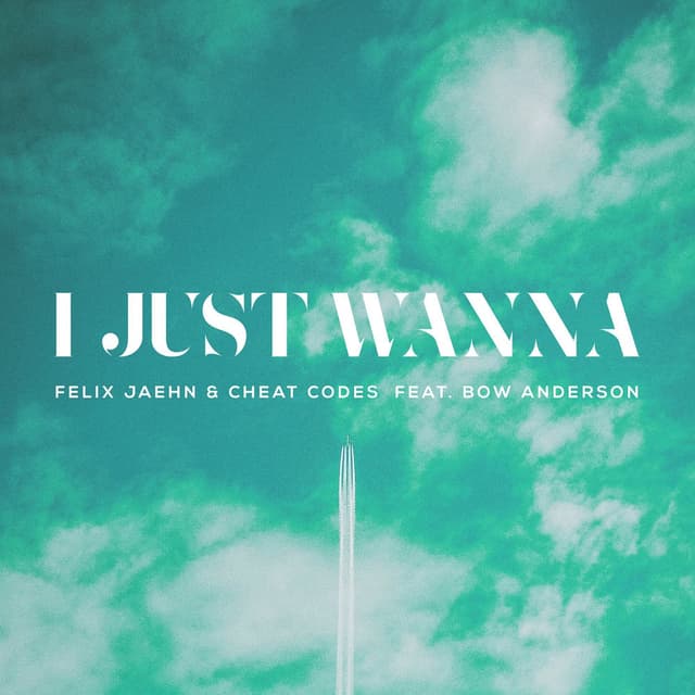 I Just Wanna cover