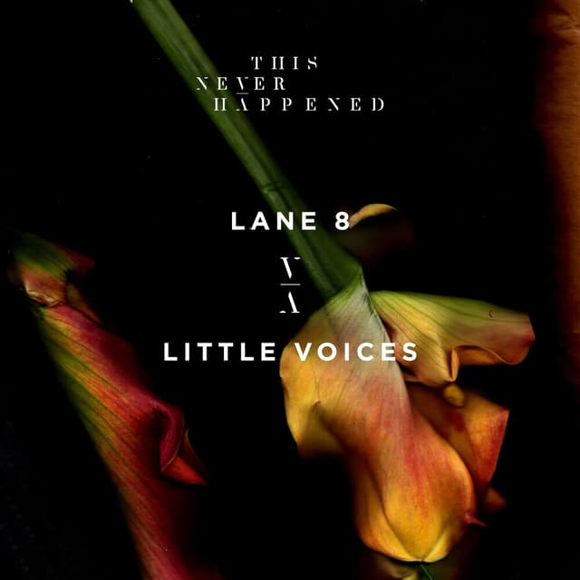 Little Voices cover