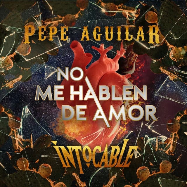 No Me Hablen de Amor cover