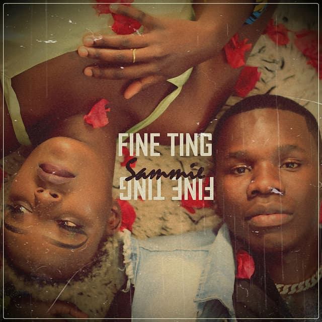 Fine Ting cover