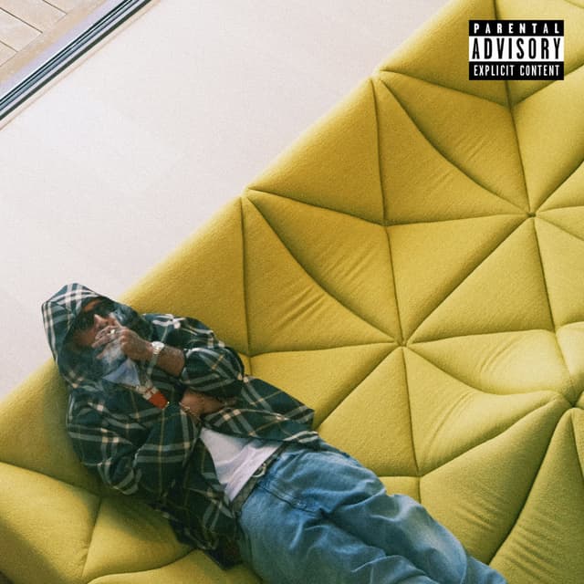Imported Couches cover