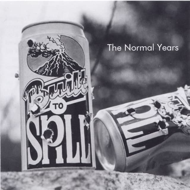 The Normal Years album cover