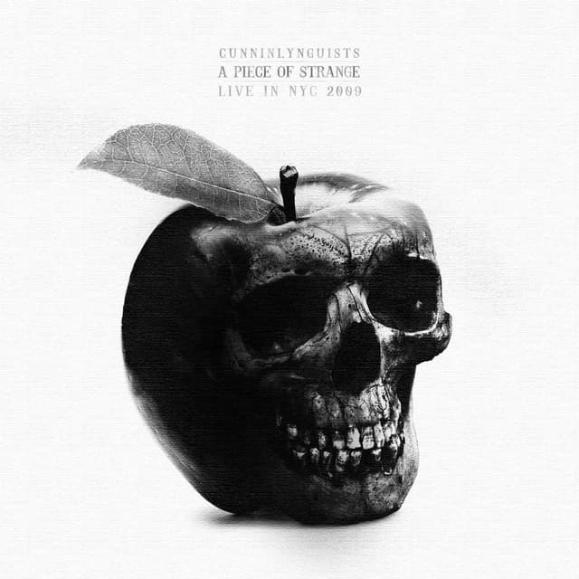 A Piece of Strange Live In NYC 2009 cover