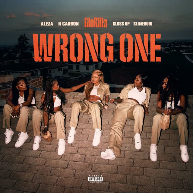 Wrong One cover