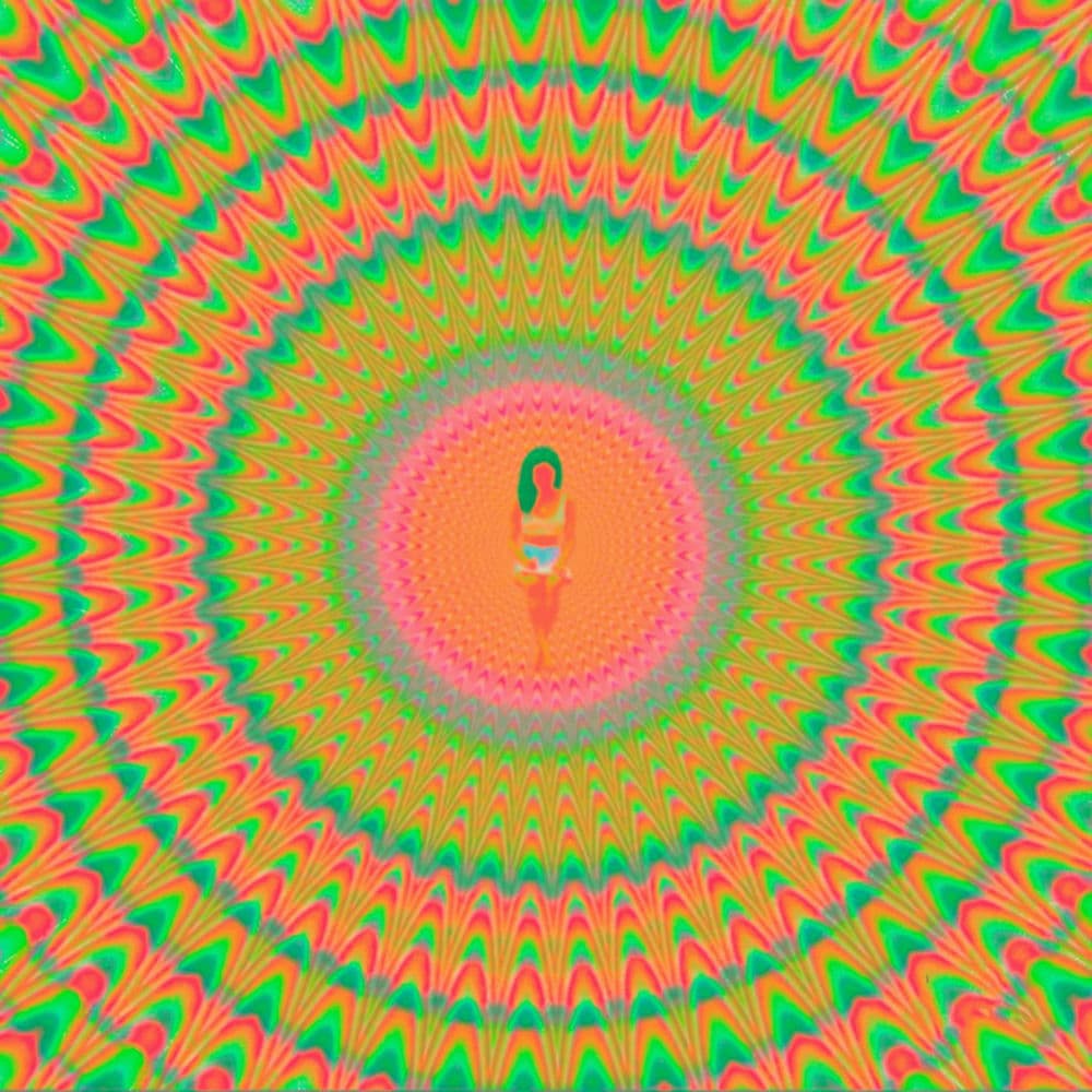 Trip cover