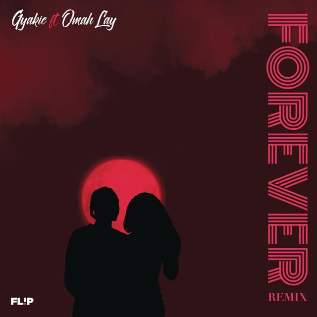 Forever (Remix) cover