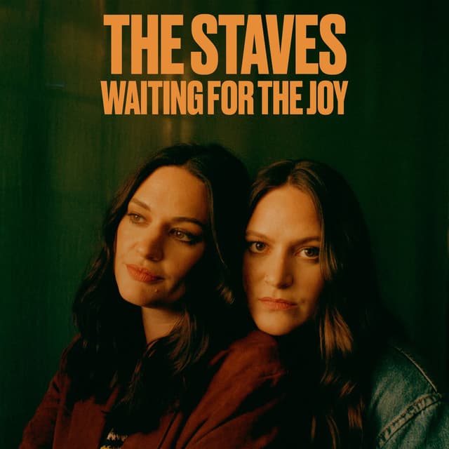 Waiting For The Joy cover